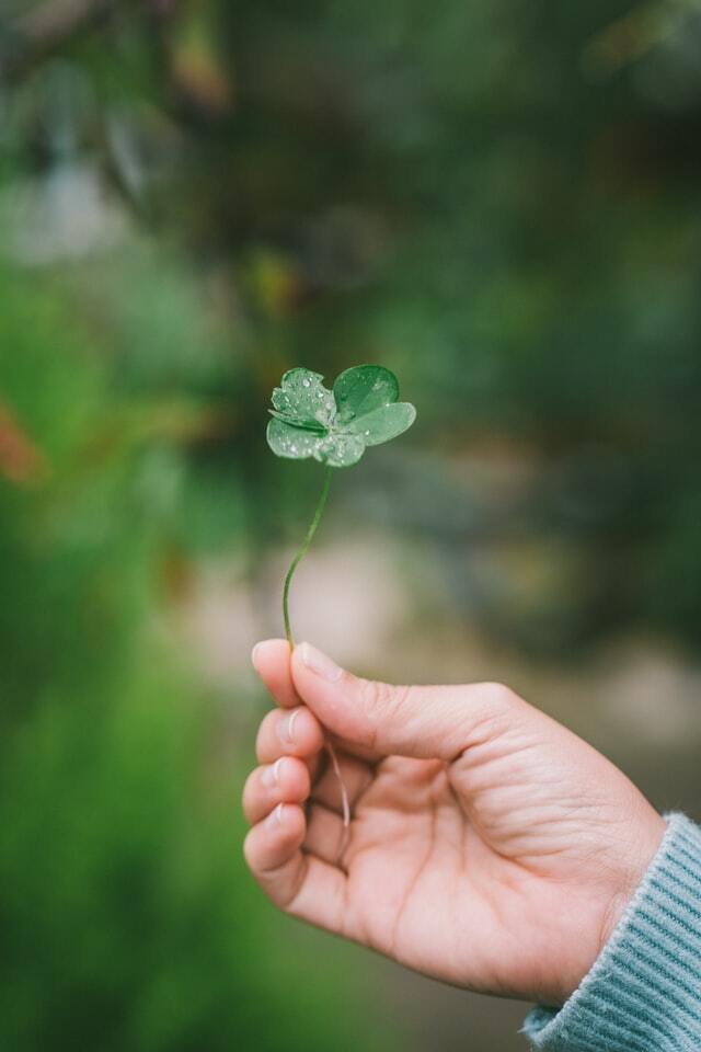 luck of the irish